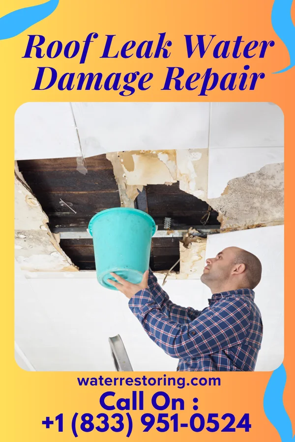 Roof Leak Water Damage Repair in Anthon, IA