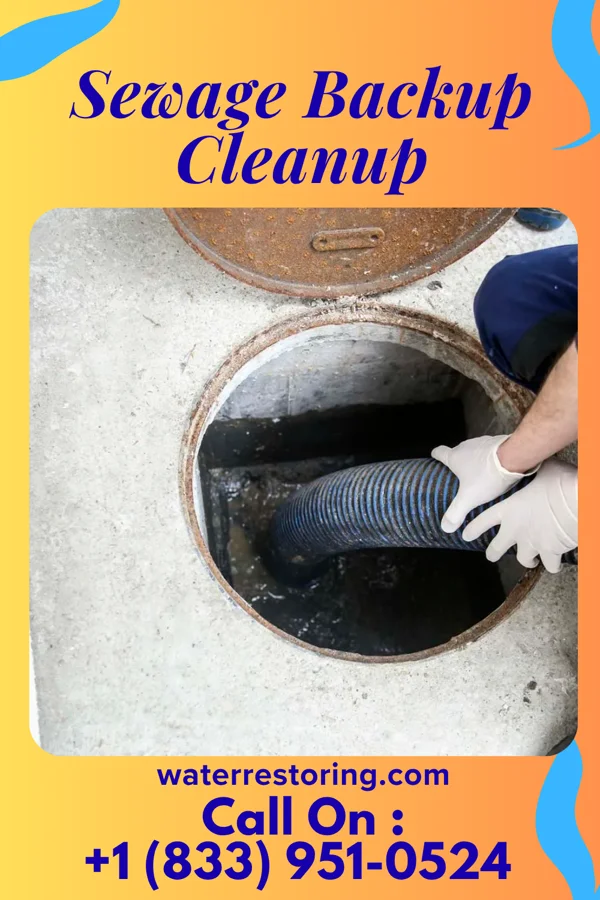 Sewage Backup Cleanup in Anthon, IA