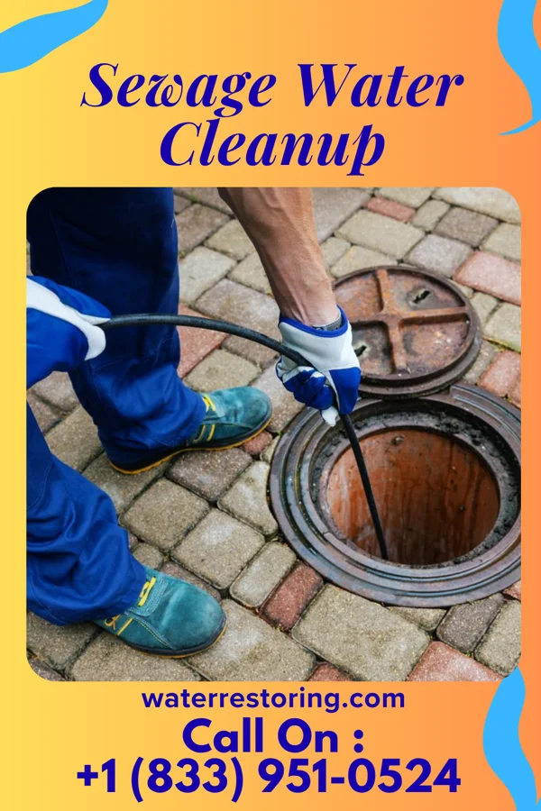 Sewage Water Cleanup in Anthon, IA